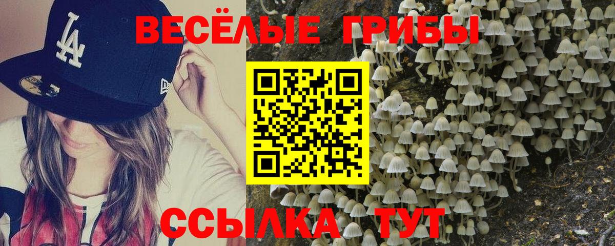 Псилоцибиновые грибы мухоморы Майкоп